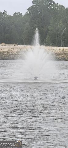 221 Collin Nicholas Drive LOT 142, Kingsland, GA 31548