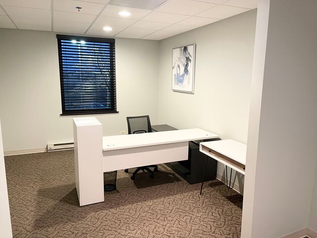 10700 W HIGGINS Road 220, Rosemont, IL 60018