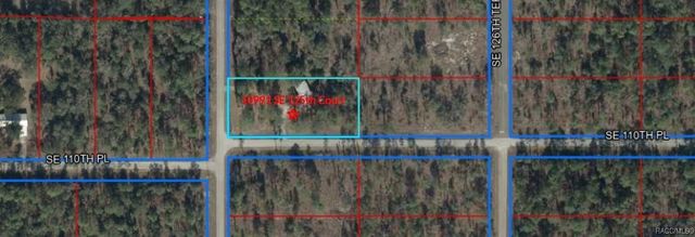 10991 SE 125th Court, Dunnellon, FL 34431