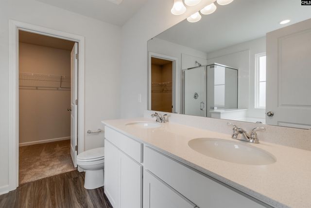 617 Clementine Run, Gilbert, SC 29054