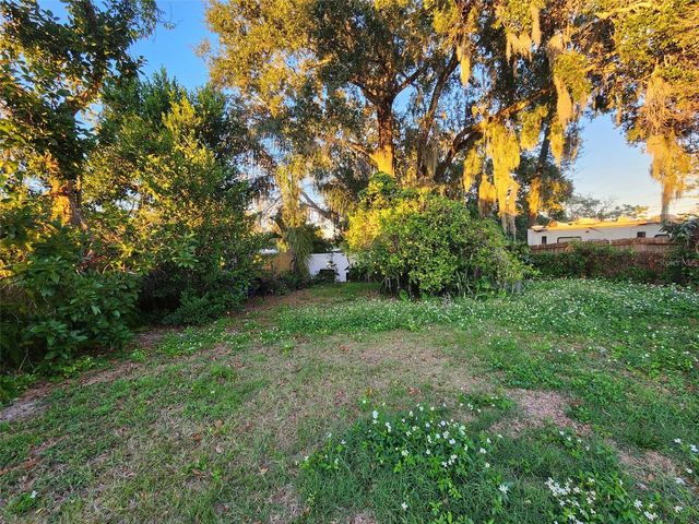 709 ALTON AVENUE, Orlando, FL 32804