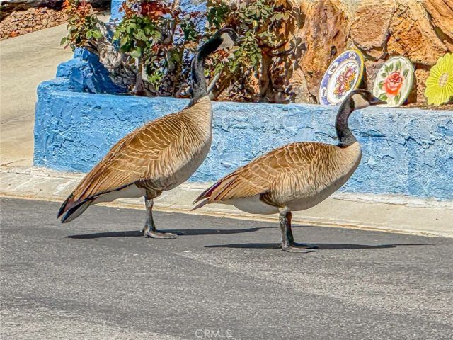 48303 20th St W 109, Lancaster, CA 93534