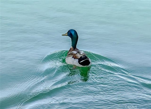 48303 20th St W 109, Lancaster, CA 93534