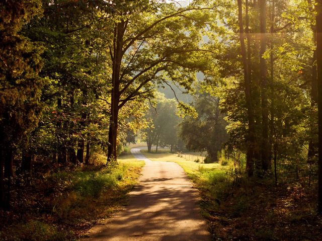 450 Lowe Branch Rd, Centerville, TN 37033