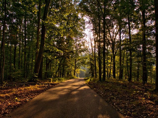 450 Lowe Branch Rd, Centerville, TN 37033