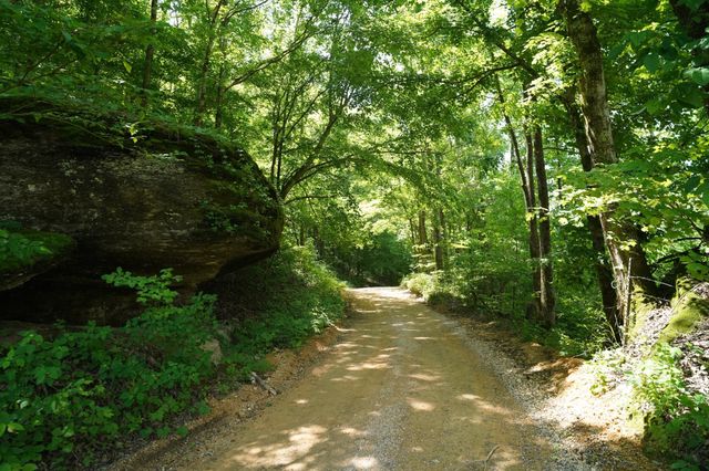 450 Lowe Branch Rd, Centerville, TN 37033