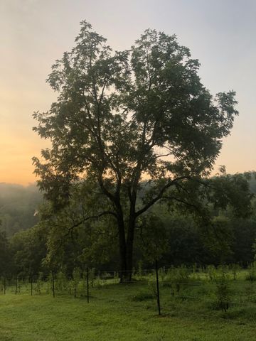 450 Lowe Branch Rd, Centerville, TN 37033