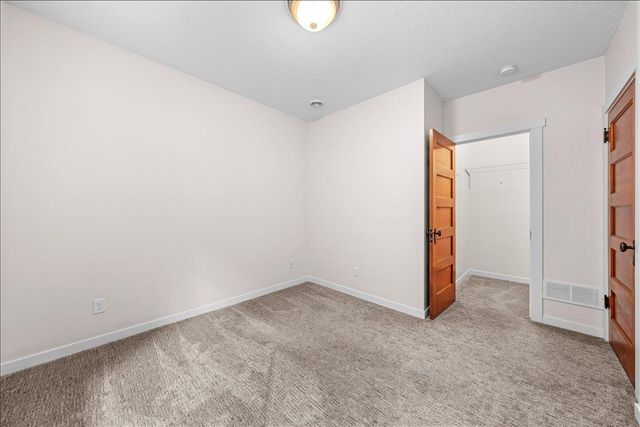 11605 Ivywood Trail, Woodbury, MN 55129