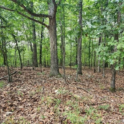 1103 Brown Bear Trail, Kansas, OK 74347