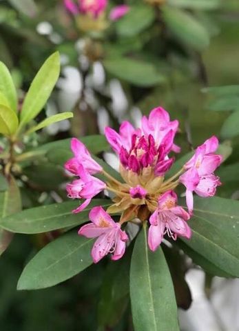 203 Oakridge Court, Valparaiso, IN 46385