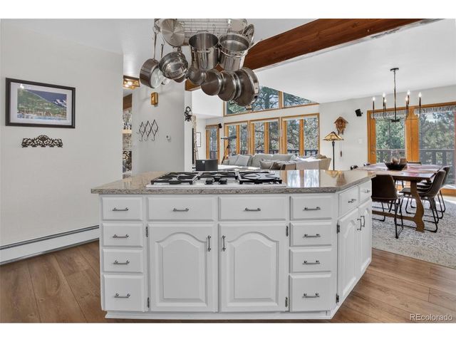 34144 Rock Creek Rd, Pine, CO 80470