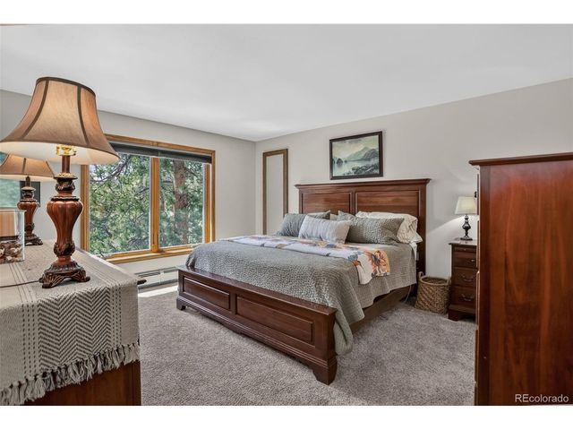 34144 Rock Creek Rd, Pine, CO 80470