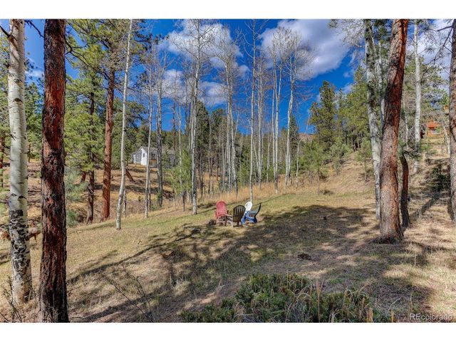 34144 Rock Creek Rd, Pine, CO 80470