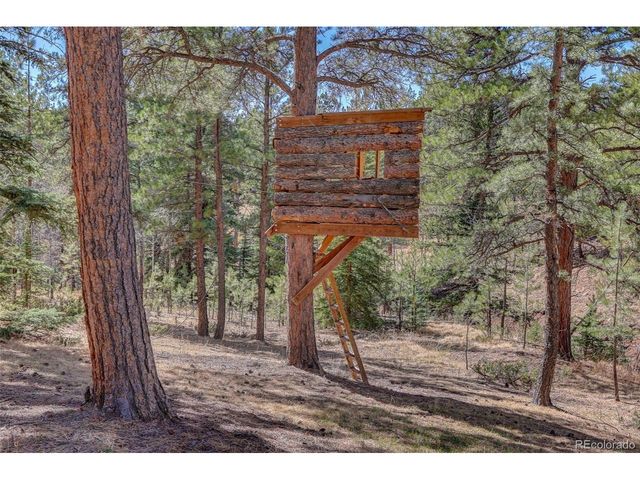 34144 Rock Creek Rd, Pine, CO 80470