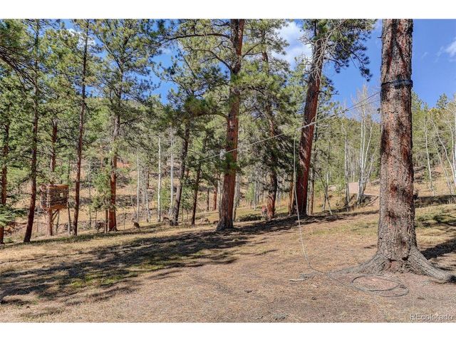 34144 Rock Creek Rd, Pine, CO 80470