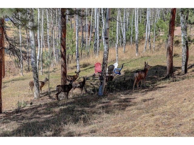 34144 Rock Creek Rd, Pine, CO 80470