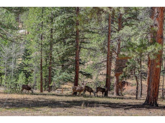 34144 Rock Creek Rd, Pine, CO 80470