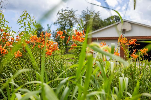 14386 ROCKINGHAM PIKE, Elkton, VA 22827