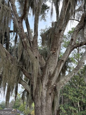 601 Fort King George Drive, Darien, GA 31305