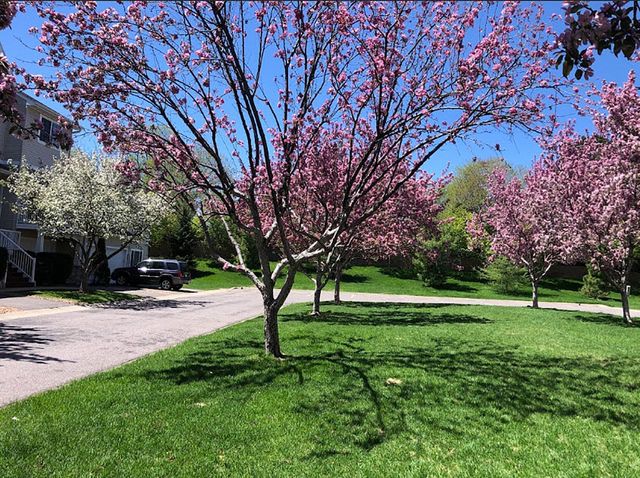 626 Willoughby Way W, Hopkins, MN 55305