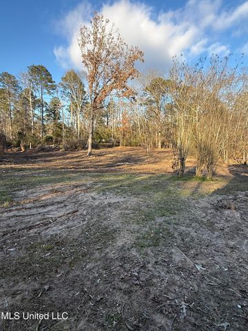 320 Eagle Cove, Pearl, MS 39208