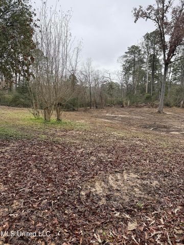 320 Eagle Cove, Pearl, MS 39208