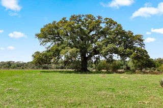 000 Frelsburg Road, Alleyton, TX 78935