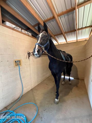 13670 E Camino La Cebadilla, Tucson, AZ 85749