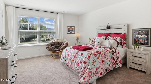 198 Tanasqui Drive, Johnson City, TN 37604