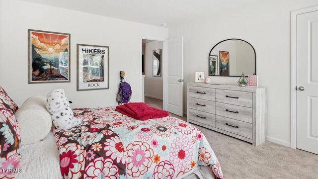 198 Tanasqui Drive, Johnson City, TN 37604