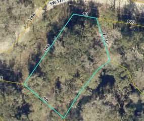 TBD2 SW 129TH BOULEVARD, Webster, FL 33597