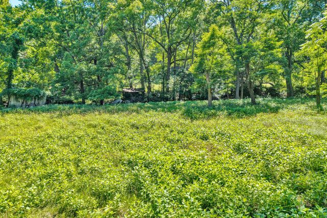 2241 Blue Ridge Springs RD, Blue Ridge, VA 24064