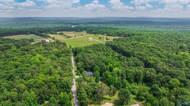 4393 County Road 106, Mentone, AL 35984