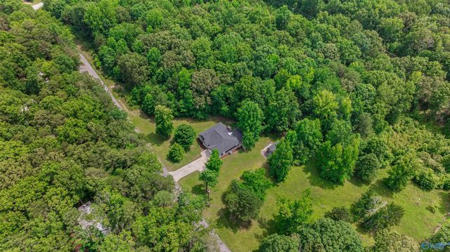 4393 County Road 106, Mentone, AL 35984