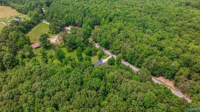 4393 County Road 106, Mentone, AL 35984