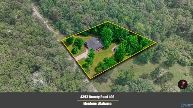 4393 County Road 106, Mentone, AL 35984