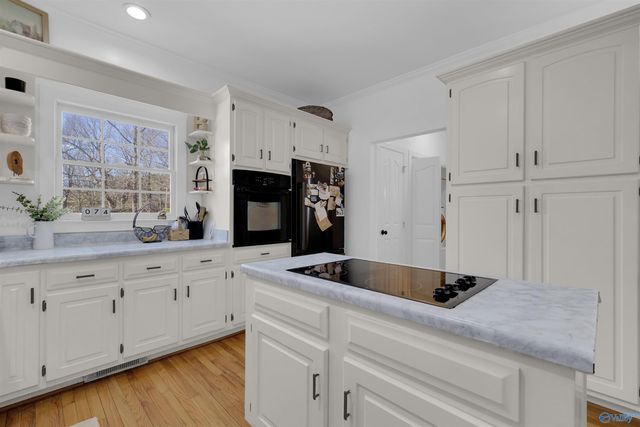 4393 County Road 106, Mentone, AL 35984