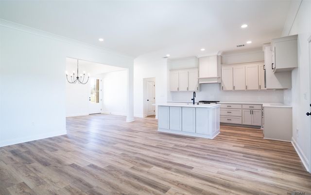 24167 Red Tail Lane, Denham Springs, LA 70726