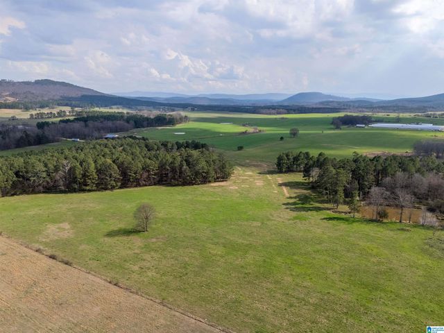 725 COUNTY ROAD 19, Piedmont, AL 36272