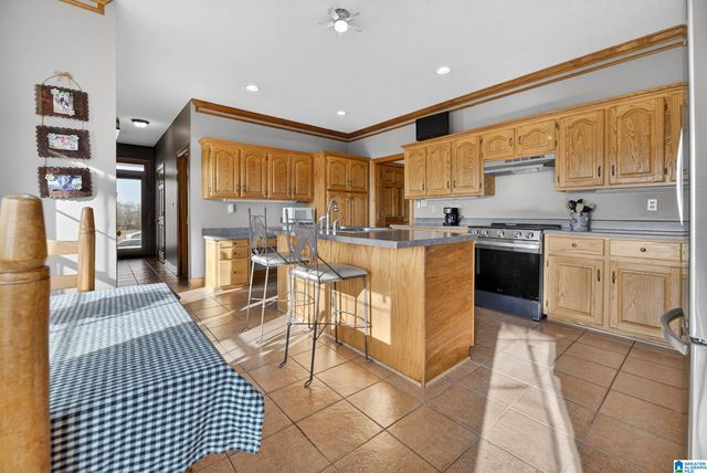 725 COUNTY ROAD 19, Piedmont, AL 36272