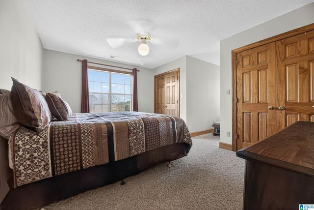 725 COUNTY ROAD 19, Piedmont, AL 36272