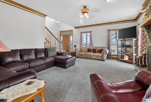 725 COUNTY ROAD 19, Piedmont, AL 36272