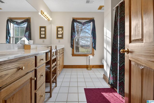 725 COUNTY ROAD 19, Piedmont, AL 36272