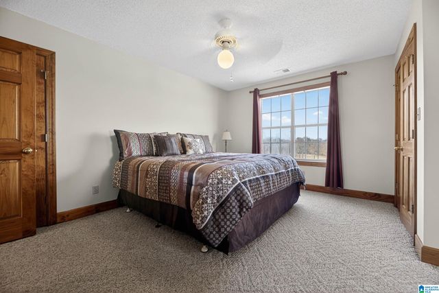 725 COUNTY ROAD 19, Piedmont, AL 36272