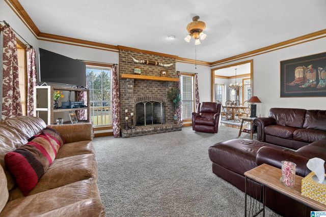 725 COUNTY ROAD 19, Piedmont, AL 36272