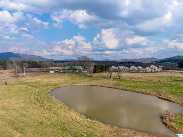 725 COUNTY ROAD 19, Piedmont, AL 36272