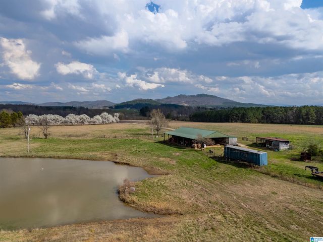 725 COUNTY ROAD 19, Piedmont, AL 36272