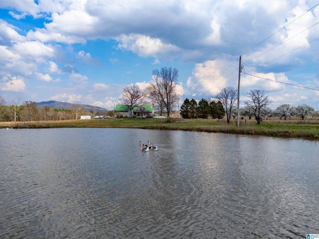 725 COUNTY ROAD 19, Piedmont, AL 36272