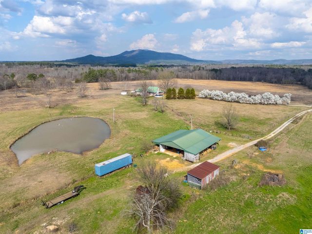 725 COUNTY ROAD 19, Piedmont, AL 36272