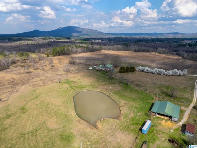 725 COUNTY ROAD 19, Piedmont, AL 36272